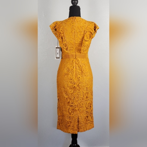 NY&Co. Dress, Eva Mendez collection, lace, size 0, color pumpkin - Picture 4 of 6